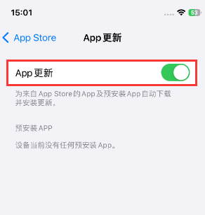 海城苹果15维修中心如何让iPhone15APP自动更新