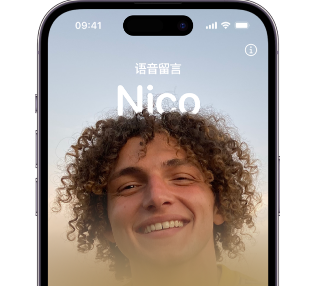 海城苹果15服务站分享iPhone15实时语音留言开启方法